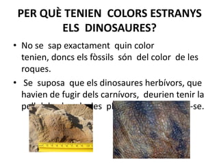 PER QUÈ TENIEN  COLORS ESTRANYS ELS  DINOSAURES?No se  sap exactament  quin color  tenien, doncs els fòssils  són  del color  de les  roques. Se  suposa  que els dinosaures herbívors, que  havien de fugir dels carnívors,  deurien tenir la pell del color  de  les  plantes  per camuflar-se. 