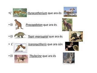 El                     Glyptodontque ara és 