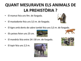 L’                       Hesperocyon que ara són 