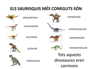 ELS SAURISQUIS MÉS CONEGUTS SÓNESPINOSAUREARQUEOPTERIXVELOCIRAPTORMAMENQUISAUREGALLIMINOAMARGASAURETECODONTOSAUREALOSAURETots aquests dinosaures eren carnívorsTIRANOSAURE