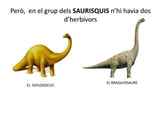 Però,  en el grup dels SAURISQUIS n’hi havia dos d’herbívors EL BRAQUIOSAUREEL  DIPLODOCUS