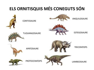 ELS ORNITISQUIS MÉS CONEGUTS SÓNANQUILOSAURECORITOSAUREESTEGOSAURETUOJIANGOSAURETRICERATOPSAPATOSAUREPROTOCERATOPSLAMBEOSAURE