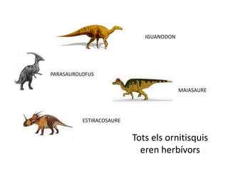 IGUANODONPARASAUROLOFUSMAIASAUREESTIRACOSAURETots els ornitisquis eren herbívors