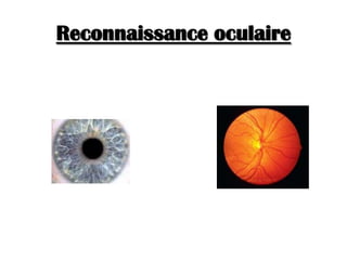 Reconnaissance oculaire