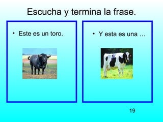 Escucha y termina la frase.

• Este es un toro.   • Y esta es una …




                                19
 