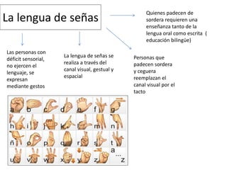 La lengua de señas
Las personas con
déficit sensorial,
no ejercen el
lenguaje, se
expresan
mediante gestos
La lengua de señas se
realiza a través del
canal visual, gestual y
espacial
Personas que
padecen sordera
y ceguera
reemplazan el
canal visual por el
tacto
Quienes padecen de
sordera requieren una
enseñanza tanto de la
lengua oral como escrita (
educación bilingüe)
 