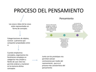 PROCESO DEL PENSAMIENTO
Las cosas e ideas de las cosas
están representadas en
forma de concepto.
Categorizaciones de objetos,
sucesos y personas que
comparten propiedades entre
si.
Cuando empleamos
conceptos, organizamos los
fenómenos complejos en
categorías mas simples y
fáciles de usar. Esto nos
permite ordenar y mantener
en la memoria dichos
conceptos
Junto con los prototipos nos
permiten extraer
conclusiones por medio del
razonamiento , que es el
proceso más característico del
pensamiento
 