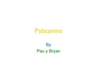 Pybcanino
By
Pau y Bryan
 