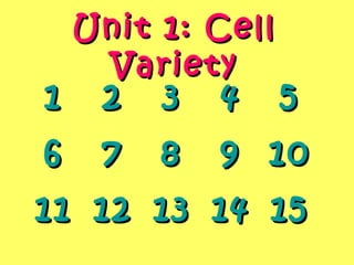 Unit 1: CellUnit 1: Cell
VarietyVariety
11 22 33 44 55
66 77 88 99 1010
1111 1212 1313 1414 1515
 