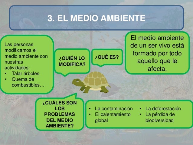 Resultado de imagen de COMO MODIFICAMOS EL MEDIO AMBIENTE