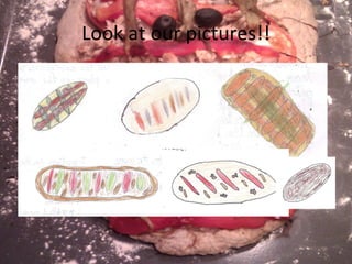 Look at our pictures!! 