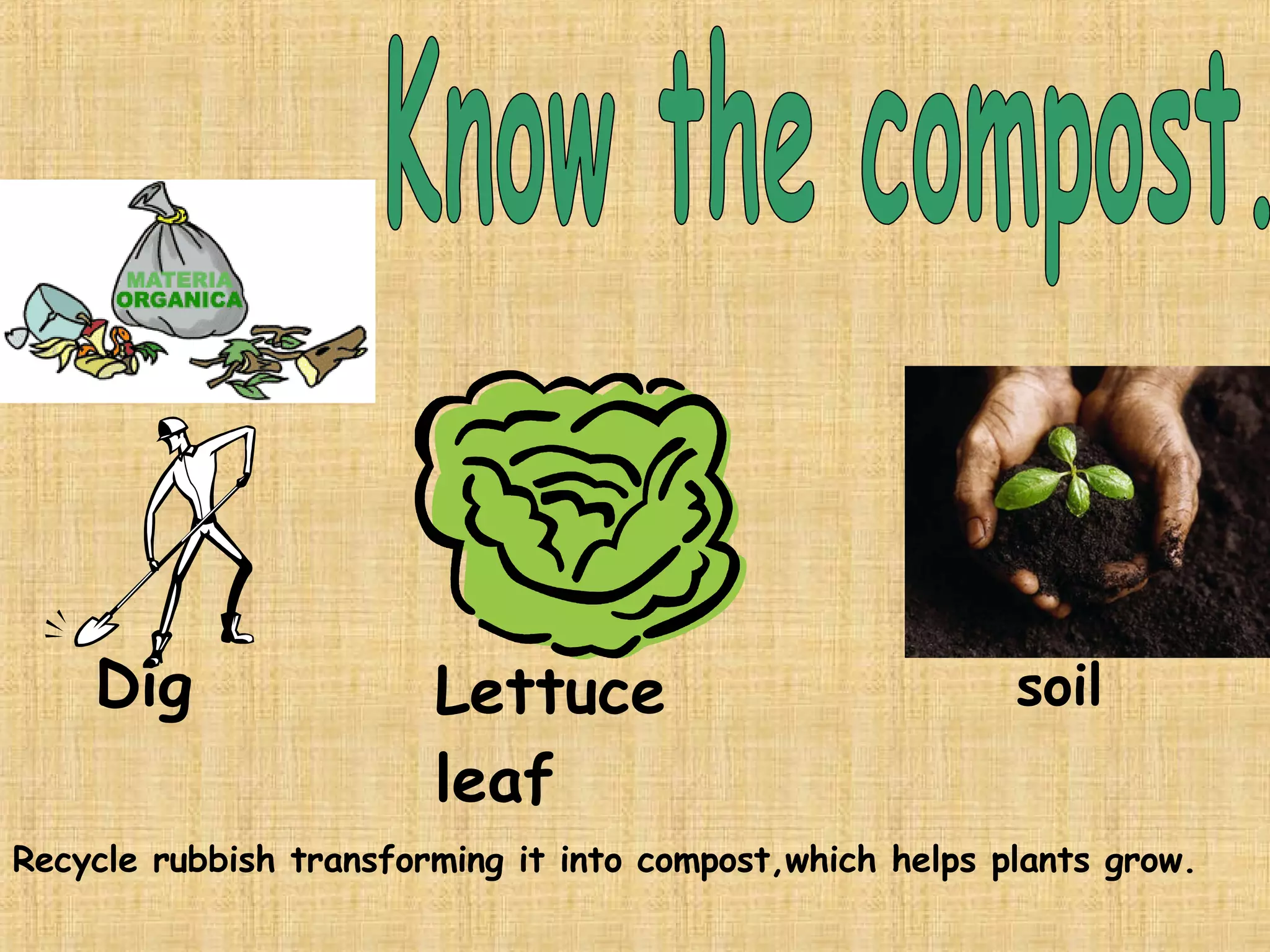 Know the compost. Dig Lettuce leaf soil Recycle rubbish transforming it into compost,which helps plants grow. 