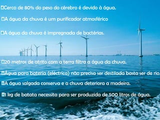 Cerca de 80% do peso do cérebro é devido à água.A água da chuva é um purificador atmosféricoA água da chuva é impregnada de bactérias.20 metros de atrito com a terra filtra a água da chuva.Água para bateria (eléctrica) não precisa ser destilada basta ser de rio.A água salgada conserva e a chuva deteriora a madeira.1 kg de batata necessita para ser produzida de 500 litros de água.