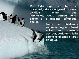 Se toda água da Terra - doce, salgada e congelada - fosse dividida entre seus habitantes, cada pessoa teria direito a 8 piscinas olímpicas cheias.Mas, se dividirmos somente a água potável entre as mesmas pessoas, cada uma teria direito a apenas 5 litros de água.