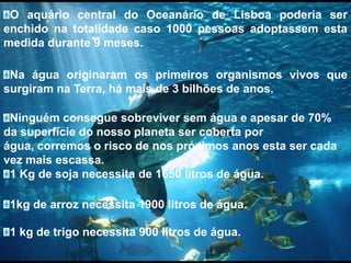 O aquário central do Oceanário de Lisboa poderia ser enchido na totalidade caso 1000 pessoas adoptassem esta medida durante 9 meses.Na água originaram os primeiros organismos vivos que surgiram na Terra, há mais de 3 bilhões de anos.Ninguém consegue sobreviver sem água e apesar de 70% da superfície do nosso planeta ser coberta por água, corremos o risco de nos próximos anos esta ser cada vez mais escassa.1 Kg de soja necessita de 1650 litros de água.1kg de arroz necessita 1900 litros de água.1 kg de trigo necessita 900 litros de água.