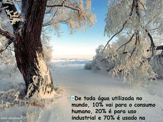 De toda água utilizada no mundo, 10% vai para o consumo humano, 20% é para uso industrial e 70% é usado na agricultura.