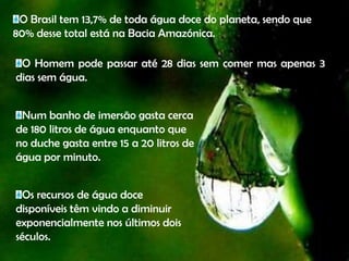 O Brasil tem 13,7% de toda água doce do planeta, sendo que 80% desse total está na Bacia Amazónica.O Homem pode passar até 28 dias sem comer mas apenas 3 dias sem água.Num banho de imersão gasta cerca de 180 litros de água enquanto que no duche gasta entre 15 a 20 litros de água por minuto.Os recursos de água doce disponíveis têm vindo a diminuir exponencialmente nos últimos dois séculos.