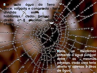 Se toda água da Terra - doce, salgada e congelada - fosse dividida entre seus habitantes, cada pessoa teria direito a 8 piscinas olímpicas cheias.Mas, se dividirmos somente a água potável entre as mesmas pessoas, cada uma teria direito a apenas 5 litros de água.