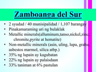 Zamboanga del Sur
• 2 syudad / 40 munisipalidad / 1,107 barangay
• Pinakamaraming uri ng bulaklak
• Metallic minerals(alluminum,tanso,nickel,zinc,
chromite,pyrite at hematite)
• Non-metallic minerals (asin, uling, lupa, graba,
asbestos marmol, silica atbp.)
• 35% ng lupain ay kagubatan
• 22% ng lupain ay palaisdaan
• 33% taniman at 6% pastulan
 