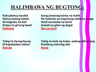 HALIMBAWA NG BUGTONG:
Kahuykahuy baubid Isang pirasong kahoy na maliit
Kahuy batang baibid Na halaman na mayroong maliit na sanga
Di’magtubu ha biid Hindi tumutubo sa burol
Subya ha gi’tung tawid Subalit sa gitna ng dagat
Karbahal Itim na koral
Tubig ha liyung-liyung Tubig sa loob ng butas, walang dahon ang
Di’kapakpakan dahon Pwedeng mahulog dito
Butung Niyog
 