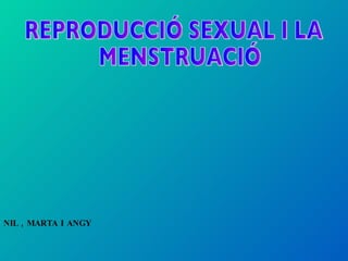 NIL , MARTA I ANGY REPRODUCCIÓ SEXUAL I LA MENSTRUACIÓ  