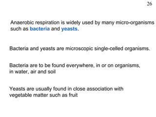 Micro-organisms Anaerobic respiration is widely used by many micro-organisms such as  bacteria  and  yeasts . Bacteria and yeasts are microscopic single-celled organisms . Bacteria are to be found everywhere, in or on organisms, in water, air and soil  Yeasts are usually found in close association with vegetable matter such as fruit 26 