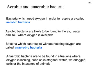 Aerobic and anaerobic bacteria Bacteria which need oxygen in order to respire are called aerobic bacteria . Aerobic bacteria are likely to be found in the air,  water and soil  where oxygen is available Bacteria which can respire without needing oxygen are  called  anaerobic bacteria Anaerobic bacteria are to be found in situations where  oxygen is lacking, such as in stagnant water, waterlogged  soils or the intestines of animals 28 