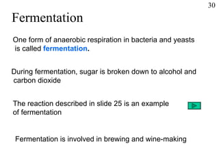Fermentation One form of anaerobic respiration in bacteria and yeasts is called  fermentation . During fermentation, sugar is broken down to alcohol and carbon dioxide The reaction described in slide 25 is an example of fermentation Fermentation is involved in brewing and wine-making 30 