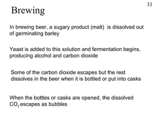 Brewing In brewing beer, a sugary product (malt)  is dissolved out of germinating barley Yeast is added to this solution and fermentation begins, producing alcohol and carbon dioxide Some of the carbon dioxide escapes but the rest dissolves in the beer when it is bottled or put into casks When the bottles or casks are opened, the dissolved CO 2  escapes as bubbles 33 