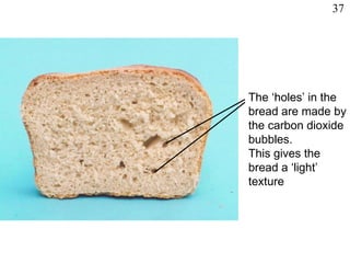 The ‘holes’ in the  bread are made by the carbon dioxide bubbles. This gives the bread a ‘light’ texture 37 