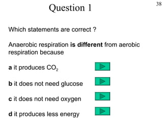 Question 1 Which statements are correct ? Anaerobic respiration  is different  from aerobic  respiration because a  it produces CO 2 b  it does not need glucose c  it does not need oxygen d  it produces less energy 38 