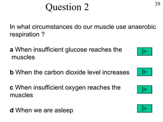 Question 2 In what circumstances do our muscle use anaerobic respiration ? a  When insufficient glucose reaches the muscles b  When the carbon dioxide level increases c  When insufficient oxygen reaches the  muscles d  When we are asleep 39 