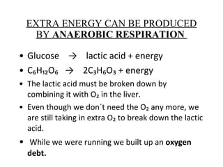 EXTRA ENERGY CAN BE PRODUCED BY  ANAEROBIC RESPIRATION  Glucose  ->  lactic acid + energy C₆H₁₂O₆  ->  2C₃H₆O₃ + energy The lactic acid must be broken down by combining it with O₂ in the liver. Even though we don´t need the O₂ any more, we are still taking in extra O₂ to break down the lactic acid. While we were running we built up an  oxygen debt. 