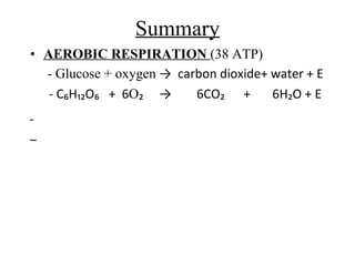 Summary AEROBIC RESPIRATION  (38 ATP) - Glucose + oxygen  ->  carbon dioxide+ water + E - C₆H₁₂O₆  +  6 O ₂  ->  6CO₂  +  6H₂O + E  