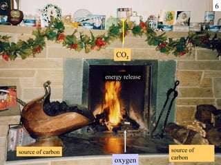energy release source of carbon source of carbon 6 oxygen CO 2 