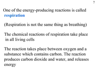 7 One of the energy-producing reactions is called respiration (Respiration is not the same thing as breathing) The chemical reactions of respiration take place in all living cells The reaction takes place between oxygen and a  substance which contains carbon. The reaction  produces carbon dioxide and water, and releases  energy 
