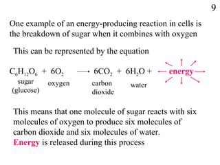 9 One   example of an energy-producing reaction in cells is the breakdown of sugar when it combines with oxygen This   can be represented by the equation This means that   one molecule of sugar reacts with six molecules of oxygen to produce six molecules of carbon dioxide and six molecules of water.  Energy  is released during this process C 6 H 12 O 6   +  6O 2 6CO 2   +  6H 2 O + energy sugar (glucose) oxygen carbon dioxide water 