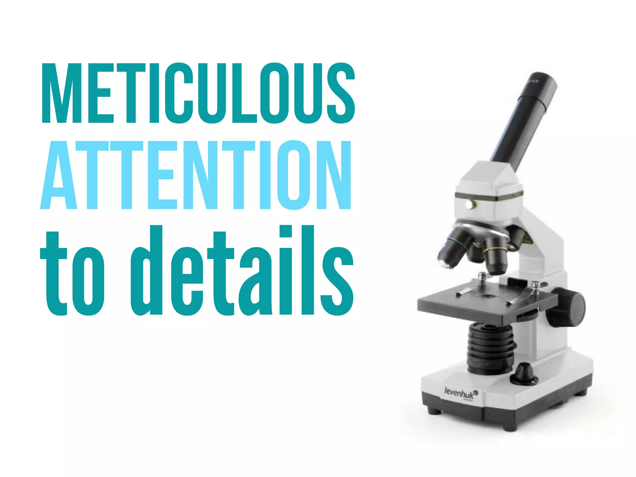 PowerPoint Visual Resume