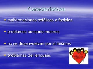 Características
malformaciones cefálicas o faciales
problemas sensorio motores
no se desenvuelven por si mismos
problemas del lenguaje.