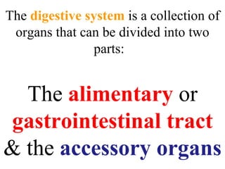 The  digestive system  is a collection of organs that can be divided into two parts:  The  alimentary  or  gastrointestinal tract  & the  accessory organs 