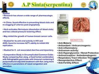 Antioxidant / Anticarcinogenic:
• Anti-inflammatory
• Antivenom activity:
• Anti-Hyperglycemic / Renal Protective
• Antinociceptive / Antiedematogenic:
• Respiratory Tract Infection Therapy:
• Anti-Fertility Effect:
• Renoprotective Effect:
Studies
• Research has shown a wide range of pharmacologic
effects.
• In China, found effective in preventing blood clots and
re-clogging of arteries post-angioplasty.
• Herb activates fibrinolysis (dissolution of blood clots)
and has a blood pressure lowering effect.
• May inhibit the growth of human breast cancer cells.
• Studied for its anti-viral activity in HIV and
AIDS, found to increase AZT's ability to inhibit HIV
replication.
• Studied for E. coli associated diarrhea and dysentery.
• Comparative Study in Uncomplicated Common Colds :
Study comparing Kan Jang, a fixed herbal combination
with Adrographis paniculata with Immunal containing E
purpureafound adjuvant treatment with Kan Jang more
effective in parameters of nasal congestion and
secretion.
• Anti-Malaria
 