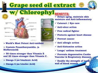  World’s Most Potent Anti-oxidant
 Contain Proanthocyanidin. (a
Bioflavonoid)
 50 times stronger than Vitamin E
and 20 times stronger than Vitamin C.
 Omega 3 (as Linolenic Acid)
 Omega 6 (as Linolec Acid)
BENEFITS:
 Delays aging, maintain skin
moisture and Anti-inflammatory
 Cataract / Eye care
 Anti-ulcer action
 Free radical fighter
 Protects against heart disease
 Prevent cancer
 Anti allergic action
 Anti-histamine action
 Lungs/ asthma treatment
 Prevents degenerative Cardio
Vascular & Respiratory diseases
 Double the strength of inner
wall of blood vessels.
 