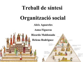 Treball de síntesi  Organització social Aleix Aguareles Anna Figueras Ricardo Maldonado Helena Rodriguez   