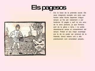 Els pagesos Era la base de la piràmide social. Els seus integrants excepte uns pocs que havien estat lliures depenien d'algun senyor, ja fos per naixement o per herència. El pagès o serf no era amo de la seva persona, ja que formava part de la gleva o terra, i no podia abandonar-la sense el consentiment del senyor. Potser el seu major avantatge era la de no poder ser arrencat de la hisenda, doncs estava unit a ella pràcticament com arrendatari perpetu .  