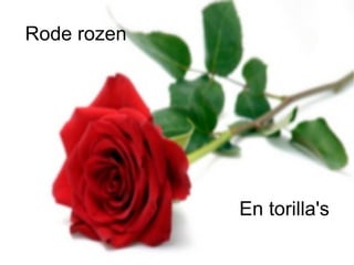 Rode rozen En torilla's 