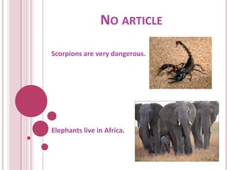 NO ARTICLE

Scorpions are very dangerous.




Elephants live in Africa.
 