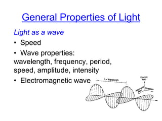 General Properties of Light
Light as a wave
• Speed
• Wave properties:
wavelength, frequency, period,
speed, amplitude, intensity
• Electromagnetic wave
 