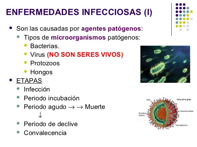Powerpoint salud