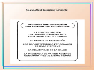 Programa Salud Ocupacional y Ambiental 