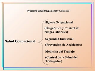 Programa Salud Ocupacional y Ambiental Salud O cupacional Higiene Ocupacional (Diagnóstico y Control de riesgos laborales) Seguridad Industrial (Prevención de Accidentes ) Medicina del Trabajo (Control de la Salud del Trabajador) 